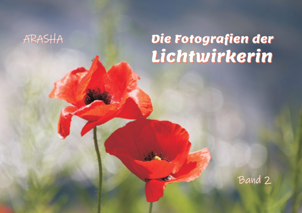 Lichtwirkerin Fotoheft 2